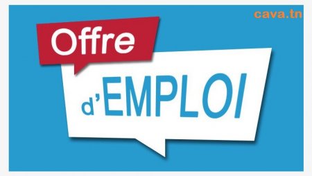 Marché de l'emploi en Tunisie 2023: Tendances et opportunités de carrière