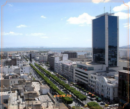 Les avantages de travailler dans une petite entreprise en Tunisie en 2023