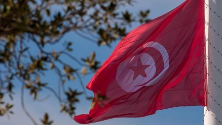 La transition démocratique en Tunisie : bilan et défis