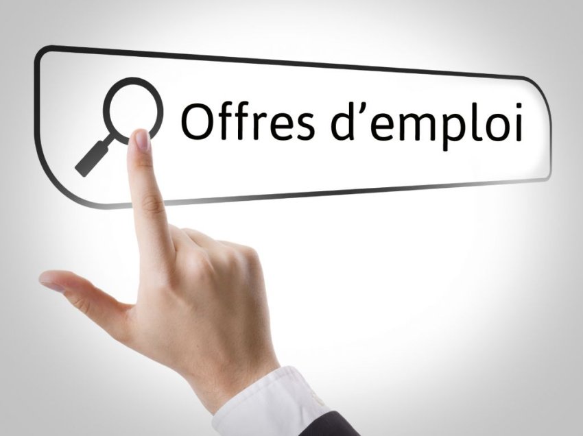 Les Tendances de l'Emploi en 2024 : Adaptation et Innovation